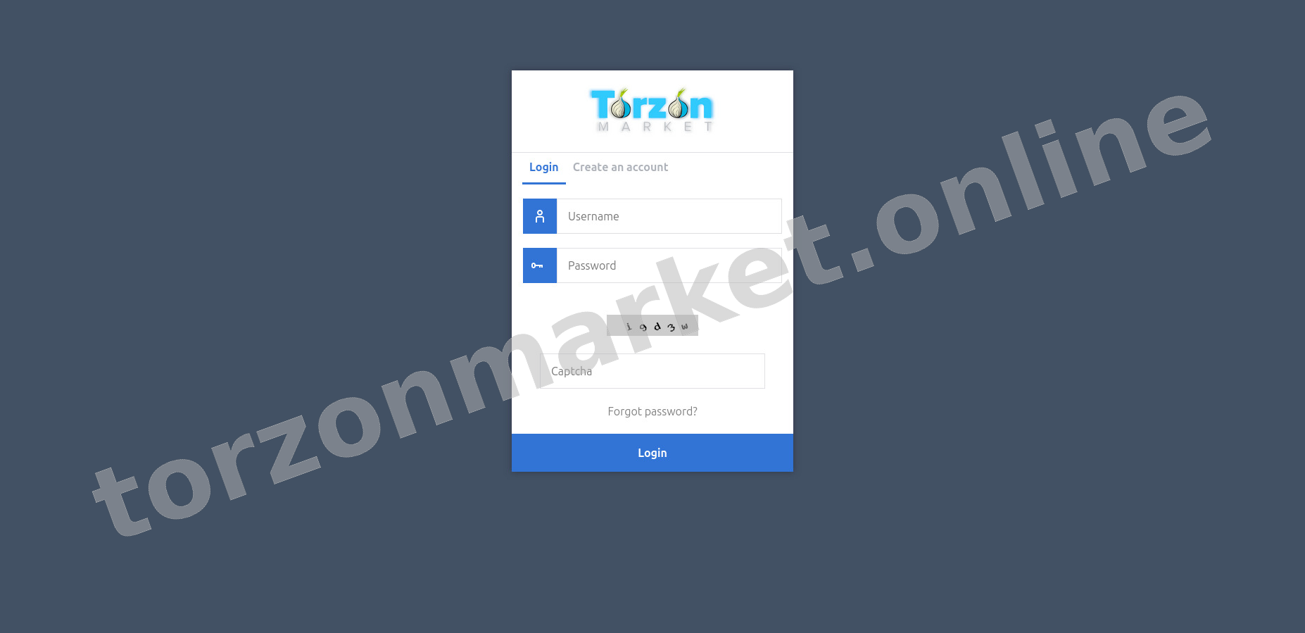 User Login Interface